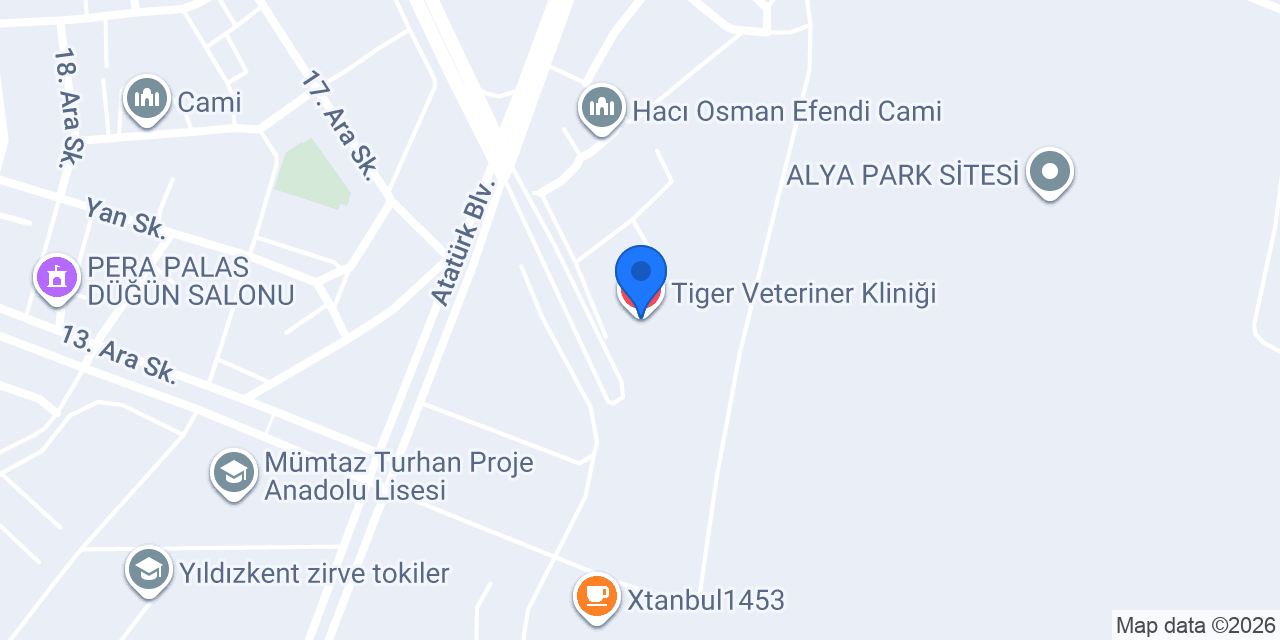 Tiger Veteriner Kliniği konumu