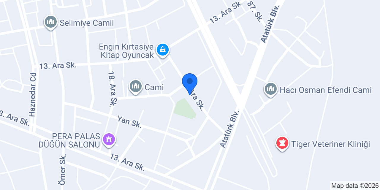 Erzurum Şömine konumu