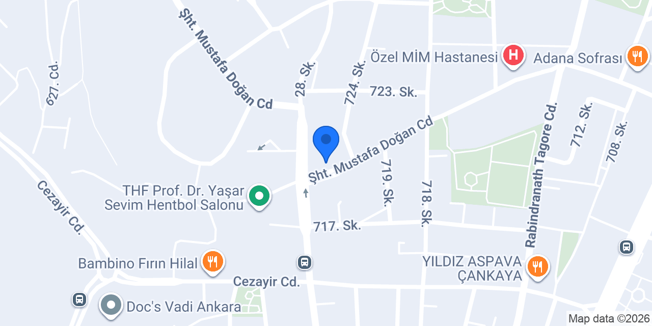 Ness Veteriner Kliniği konumu