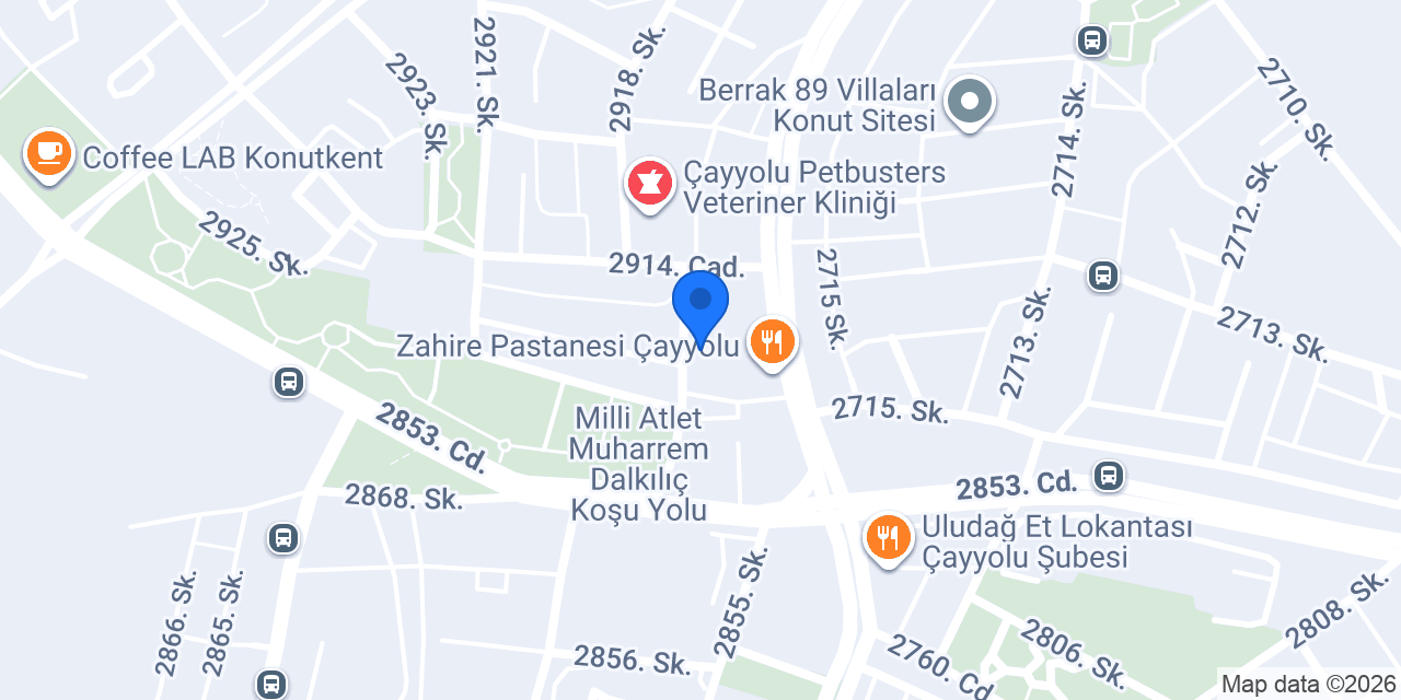 Active English Çayyolu Yabancı Diller Kursu konumu