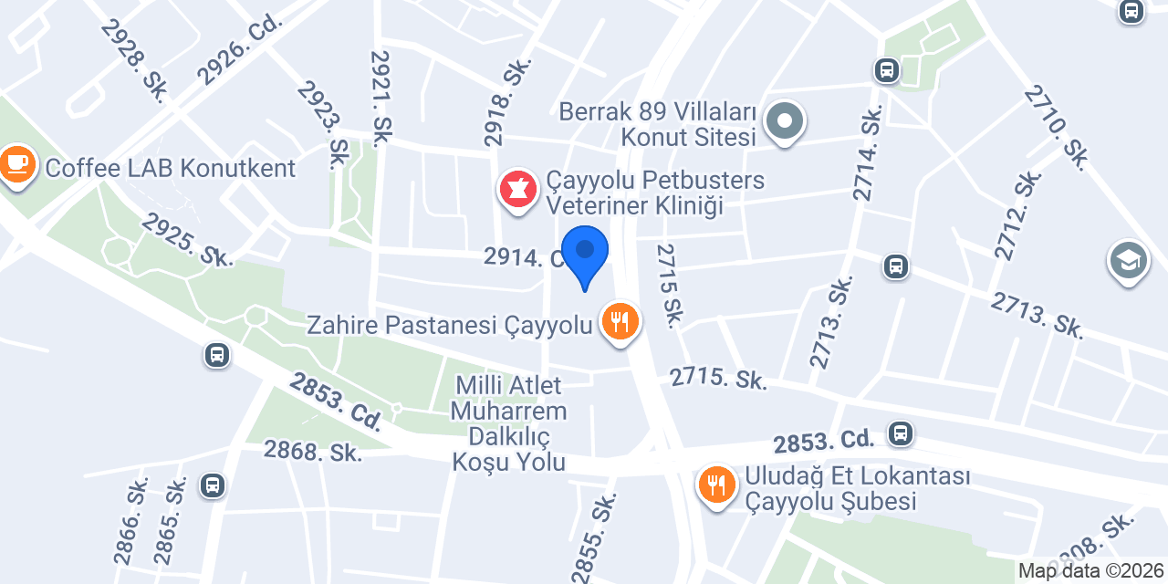 PizzaLazza - Çayyolu konumu
