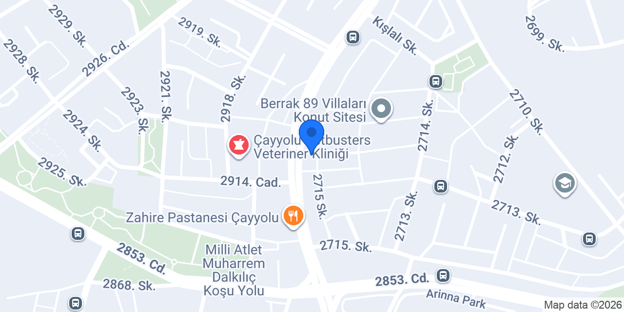 Veta Veteriner Kliniği konumu