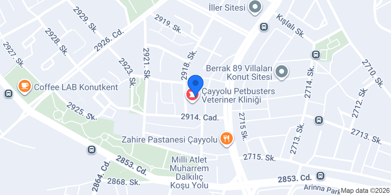 Ankara Havuz konumu