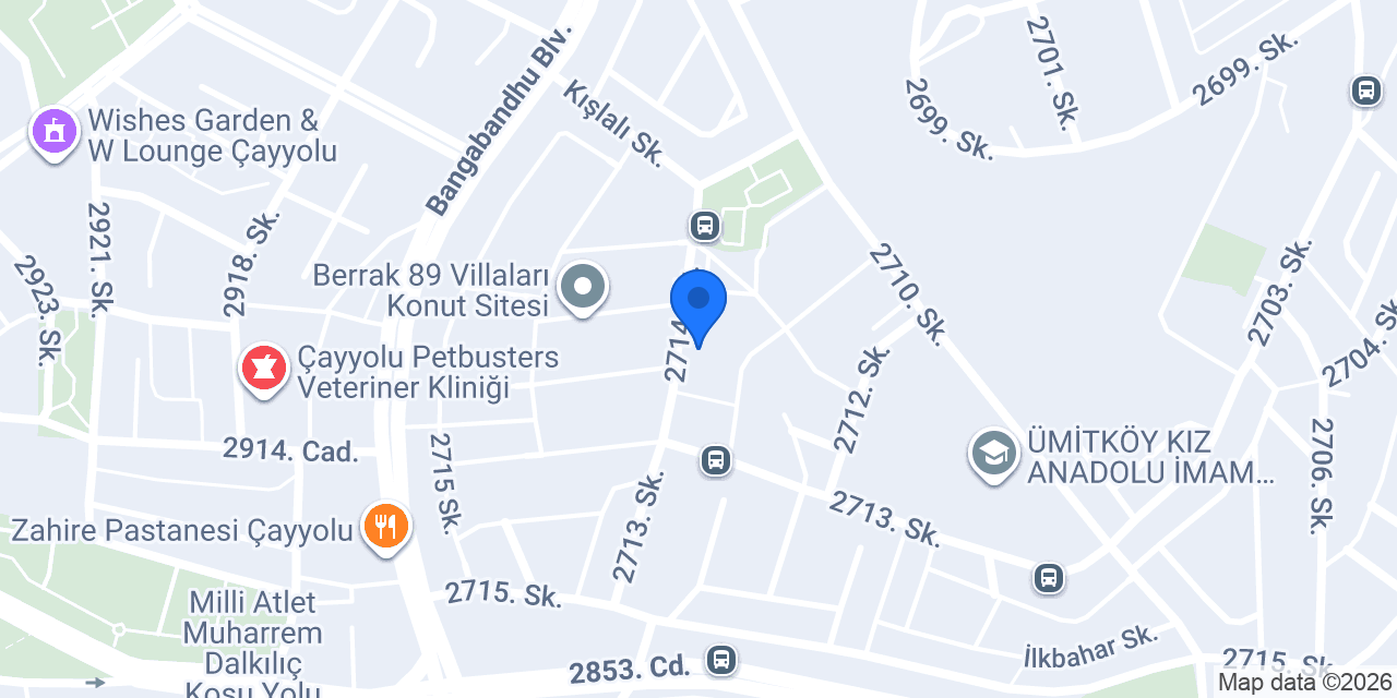 ÇAYYOLU KURU TEMİZLEME konumu