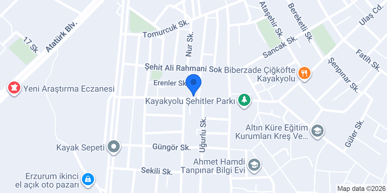 Aciktım tatpizza konumu
