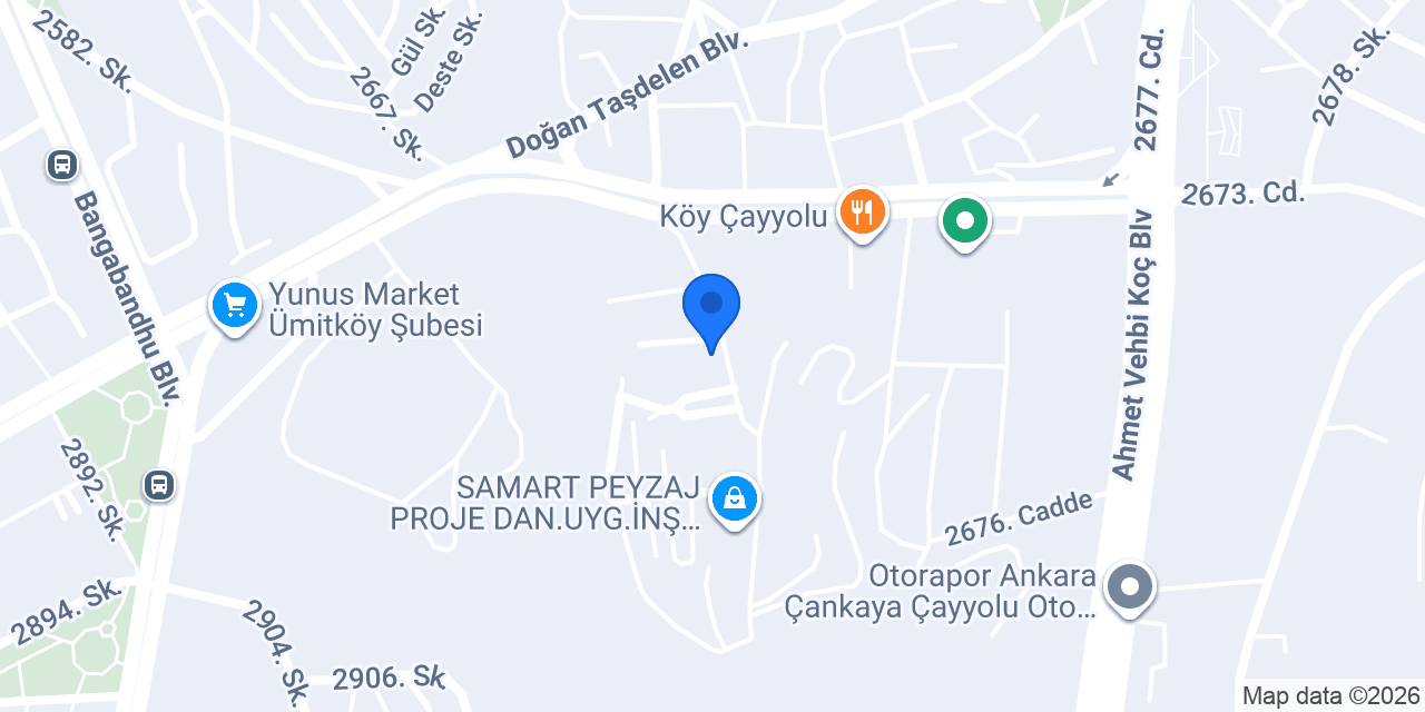 Dm Çiçek konumu