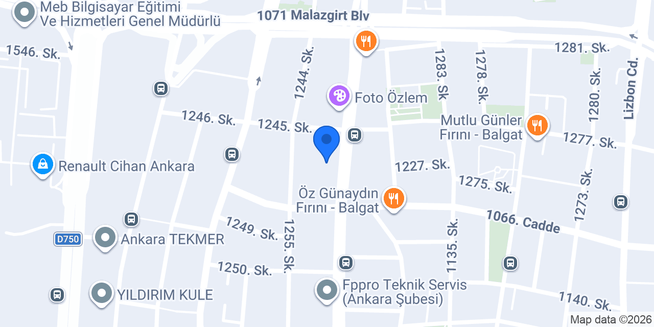 Papağan Oyuncak konumu