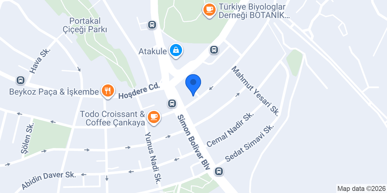 Boyut Mimarlık konumu