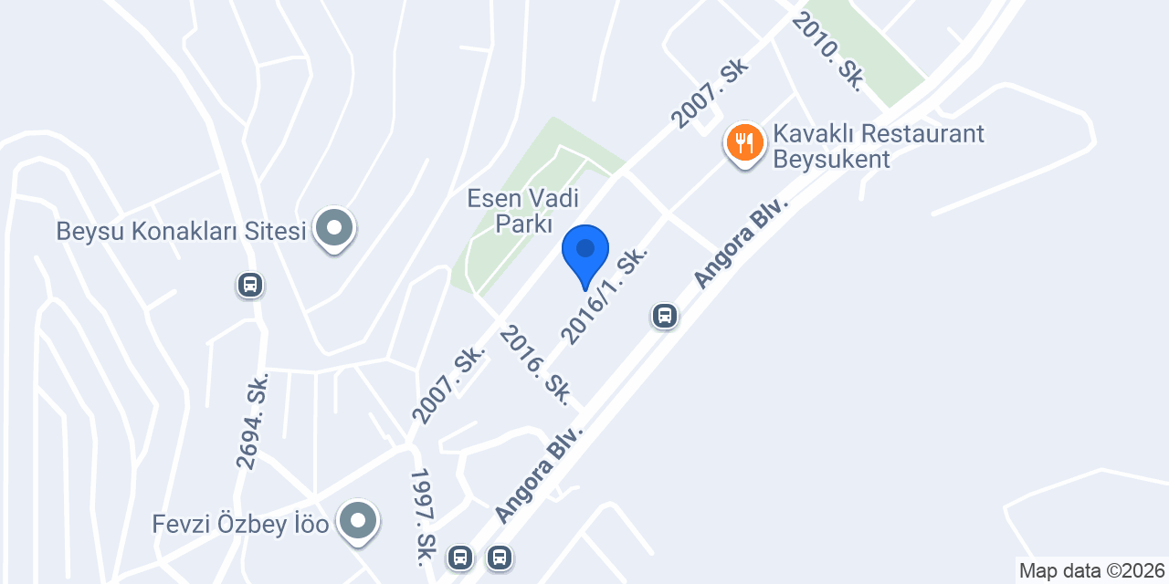 Neşe Palamudu Psikoloji konumu