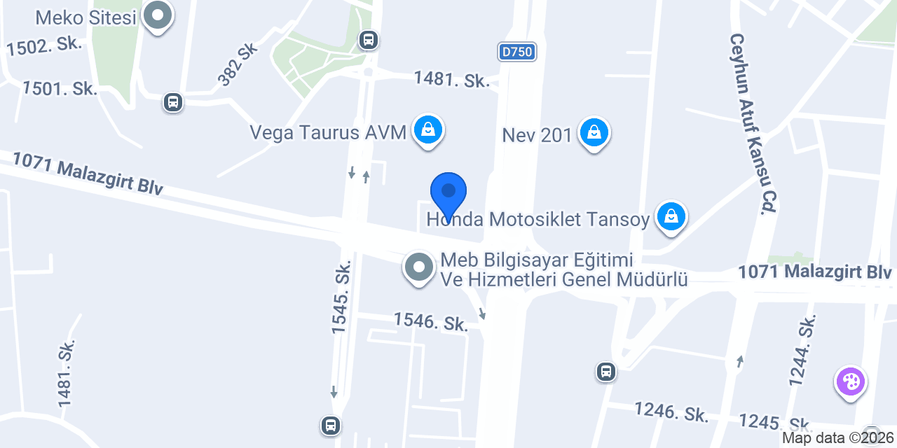 Koton konumu