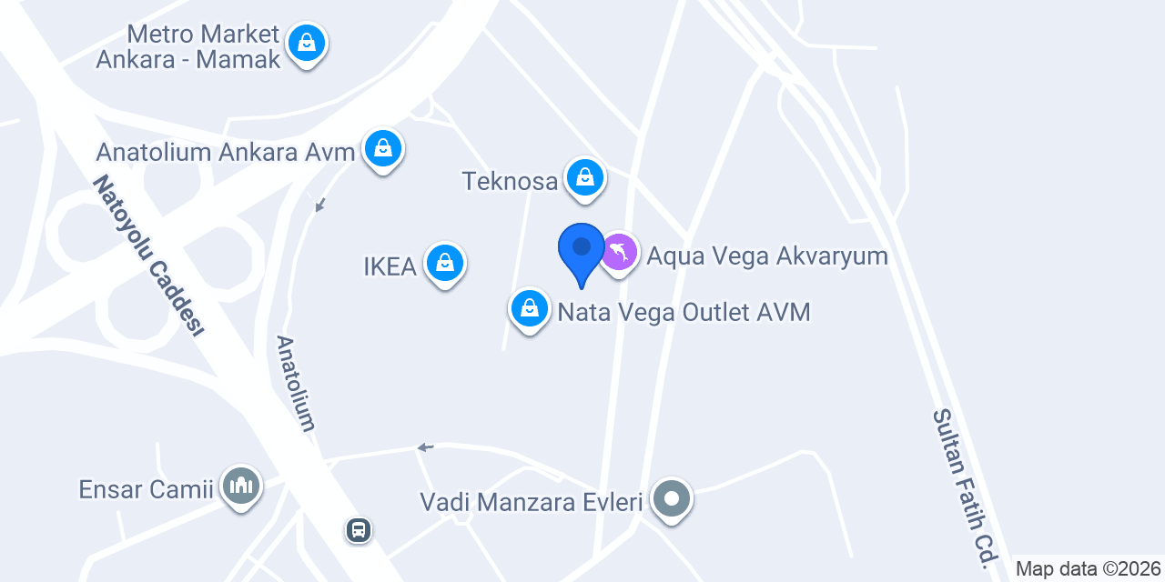 Levı's konumu
