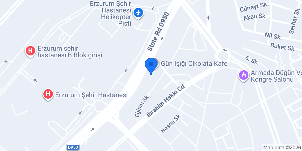 Netgör optik konumu