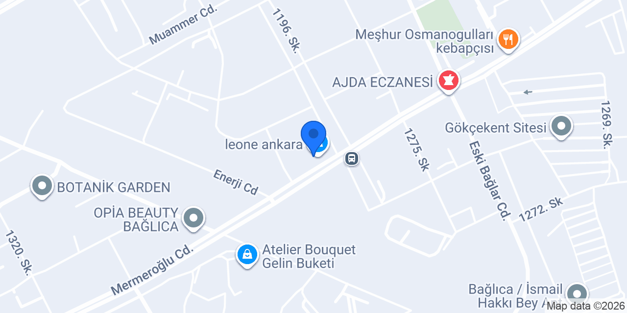 leone ankara konumu