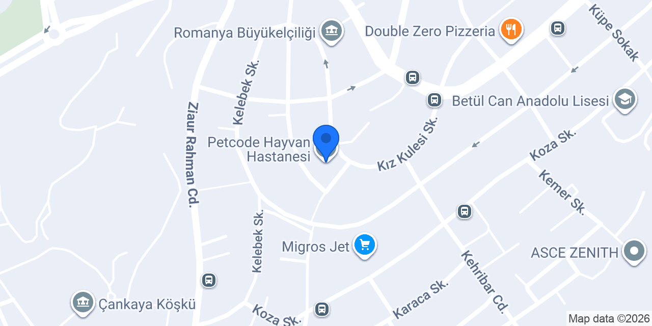 Petcode Hayvan Hastanesi konumu
