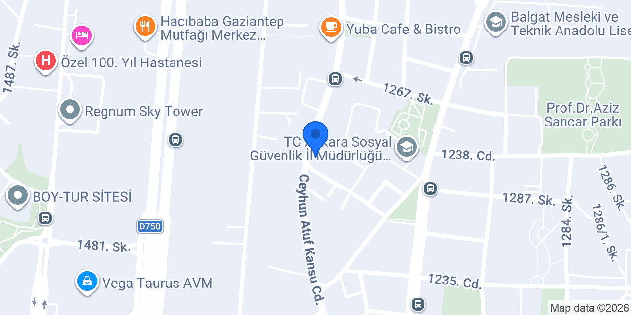 Mimoza Çiçekçilik Balgat Ankara konumu