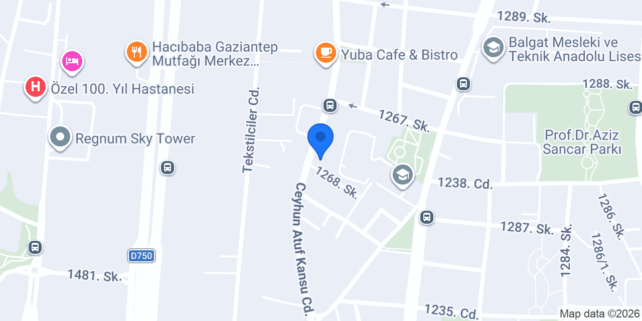Balgat ilkçağlar çiçek konumu
