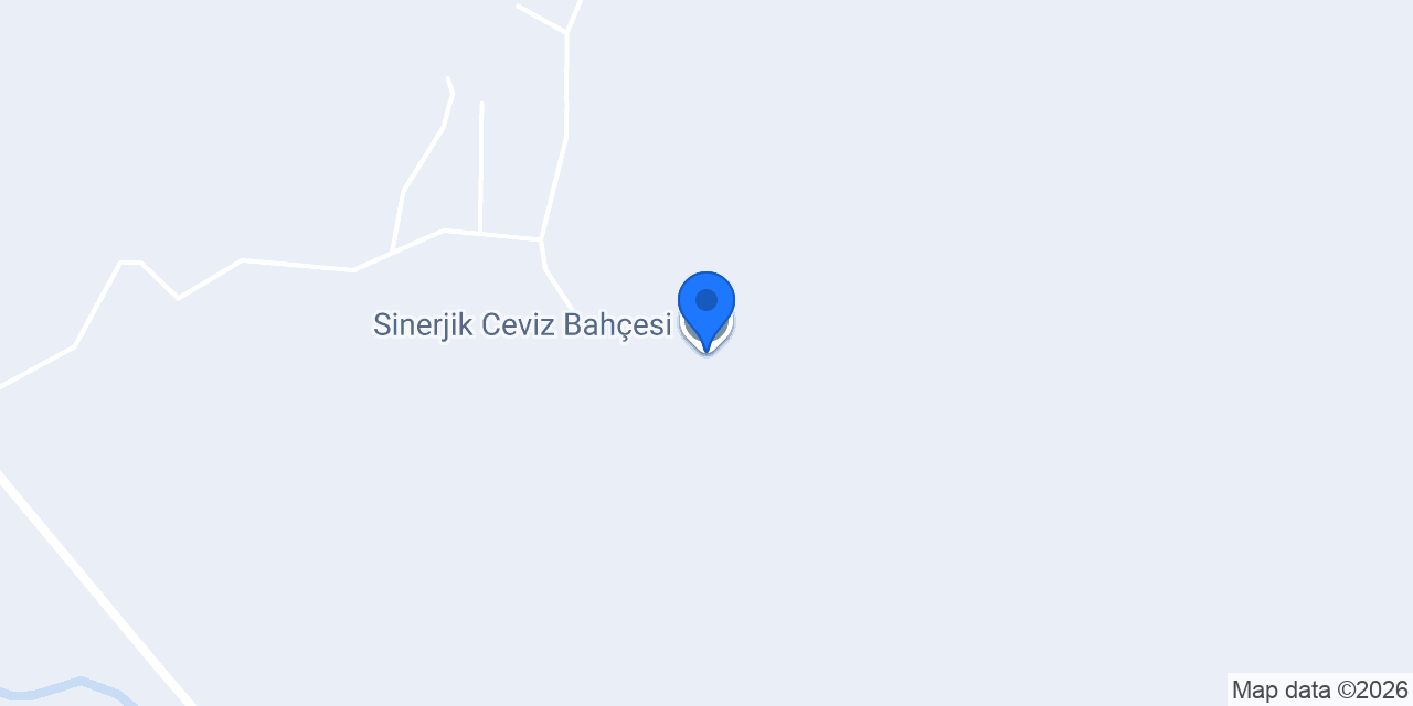 Sinerjik Ceviz Bahçesi konumu