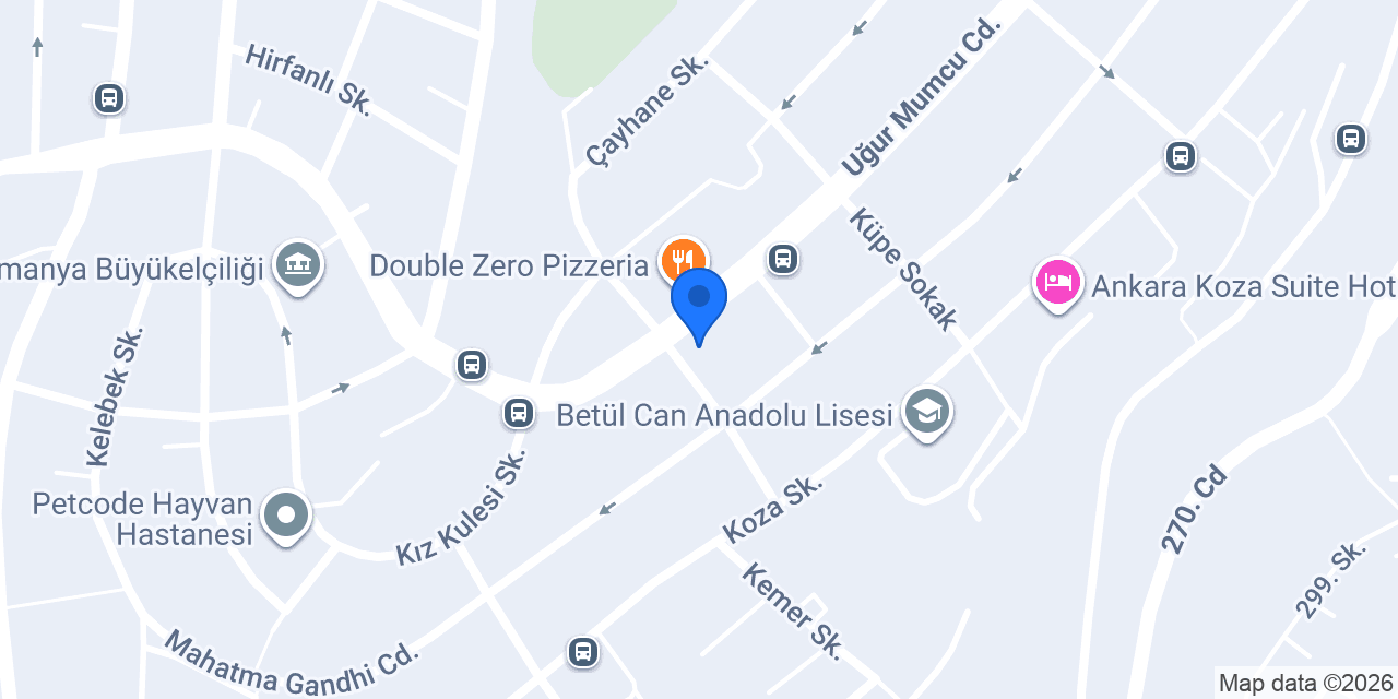 Özaltın Döviz konumu