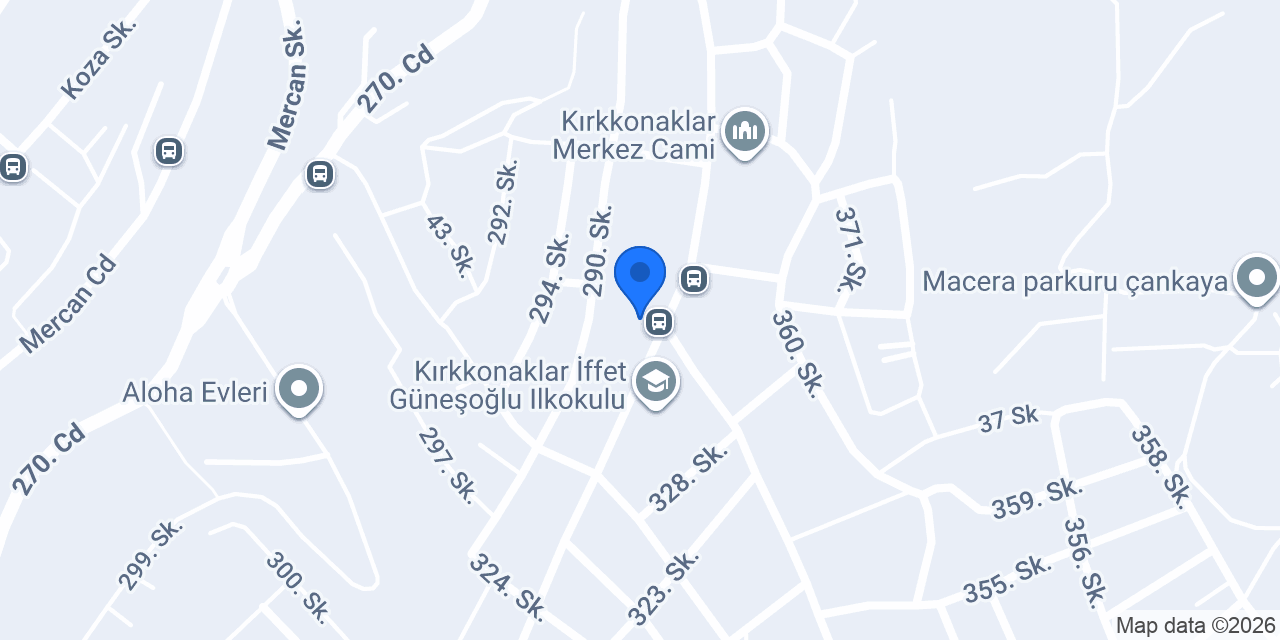Olgu halı yıkama konumu