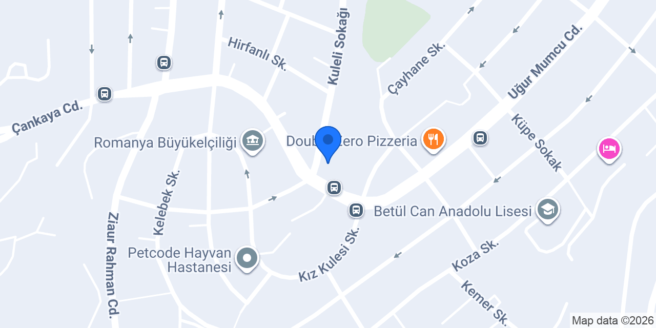Vize Merkezi konumu