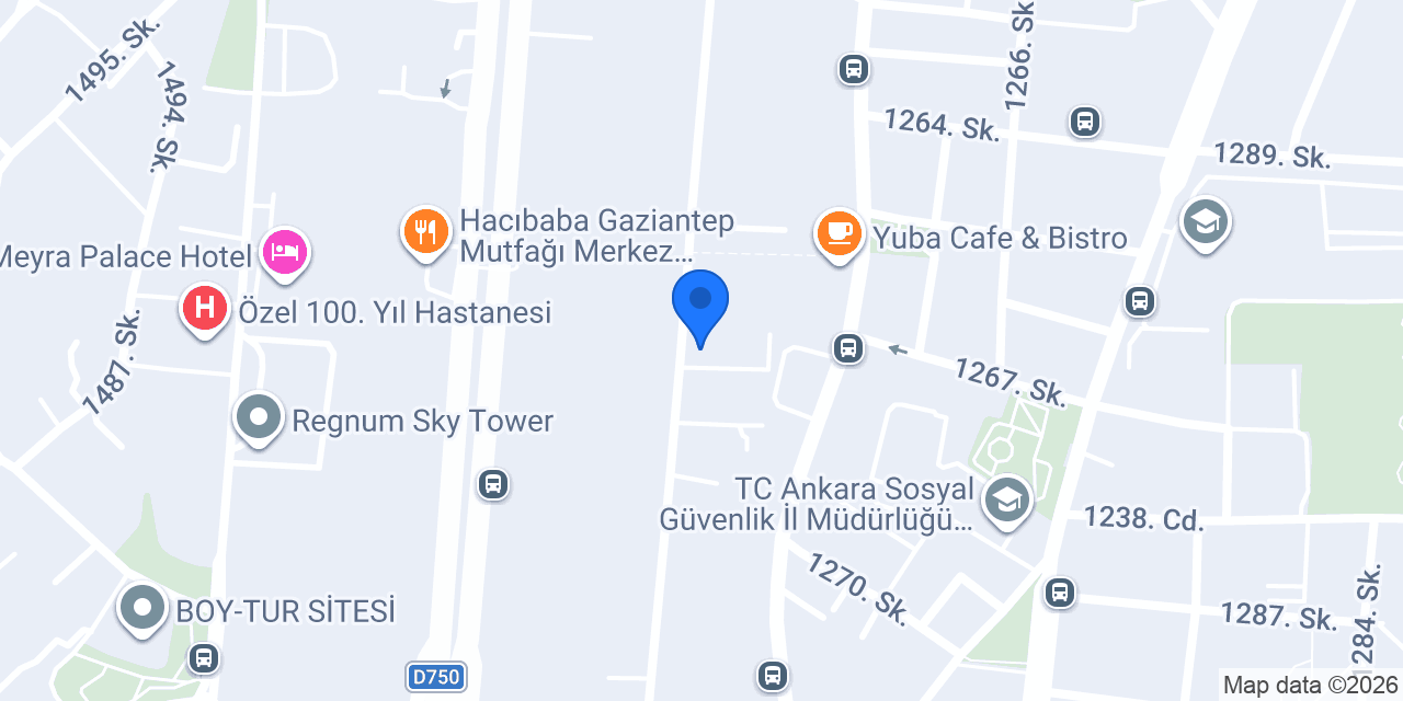 Detay Halı Yıkama konumu