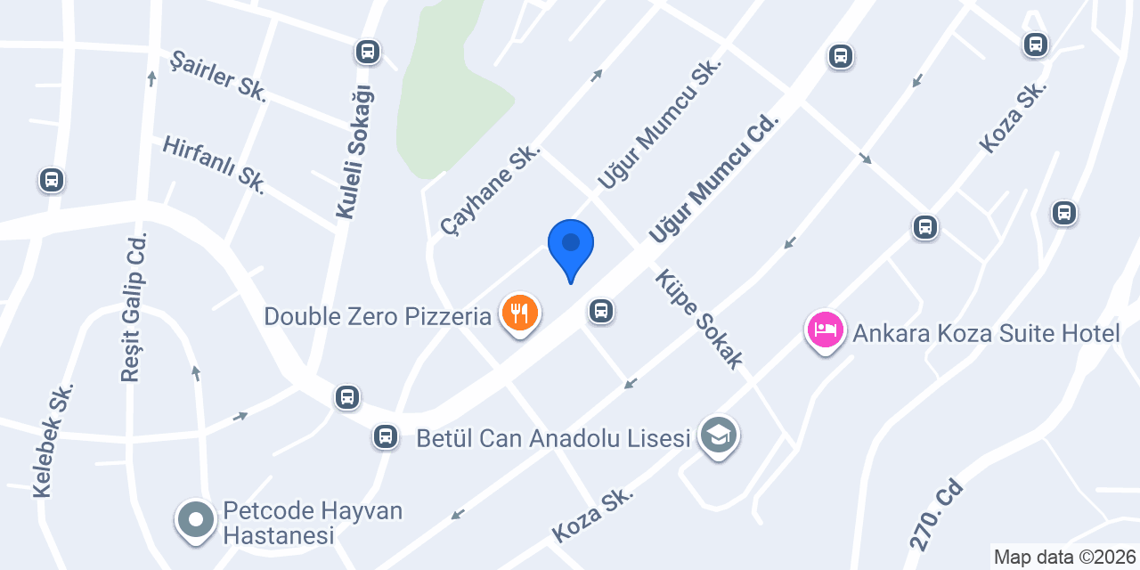 Diş Hekimi Ayşegül Sivrikaya konumu