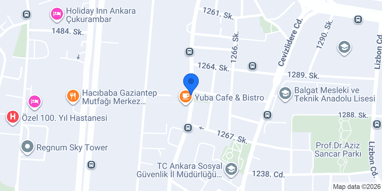 ÇAPA ANGORA VETERİNER TIP MERKEZİ konumu