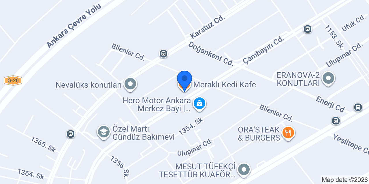 Meraklı Kedi Kafe konumu
