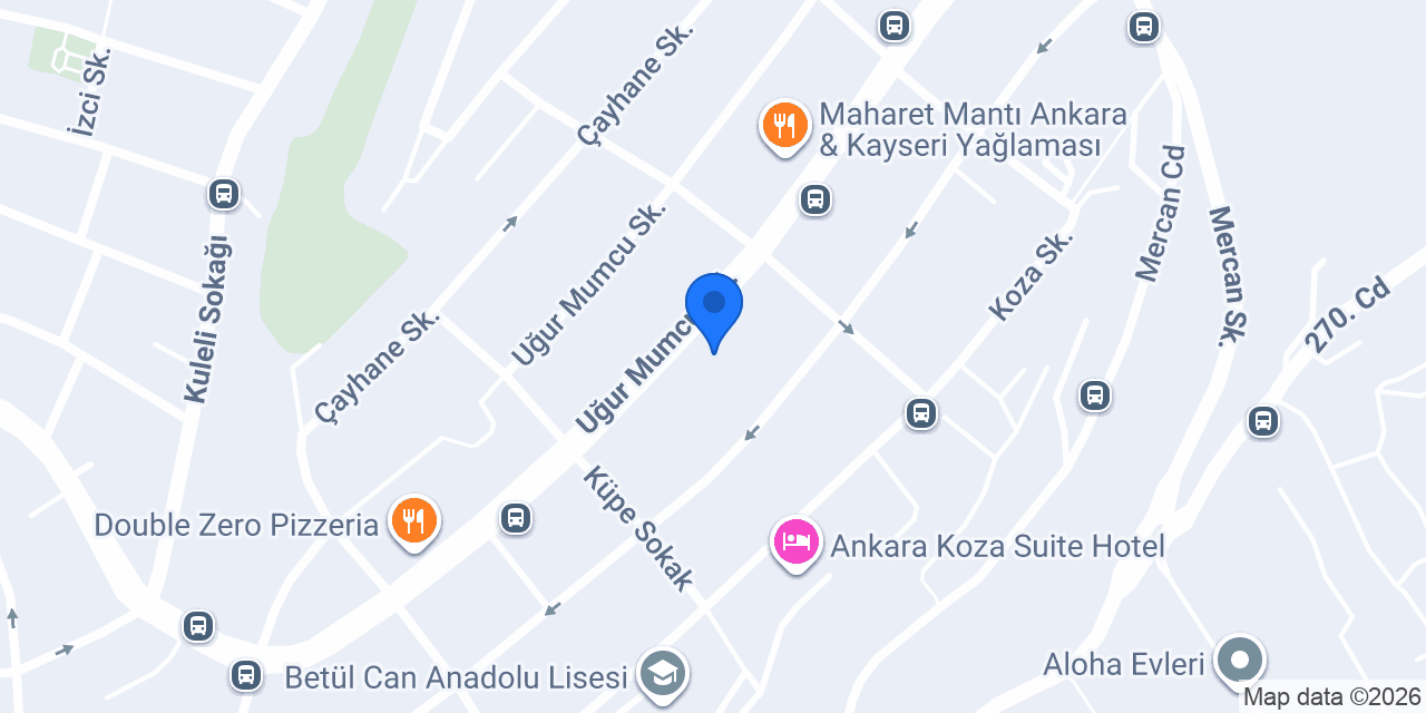 Domino Fuarcılık A.Ş. konumu