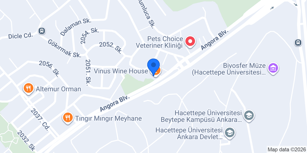 Vinus Wine House konumu