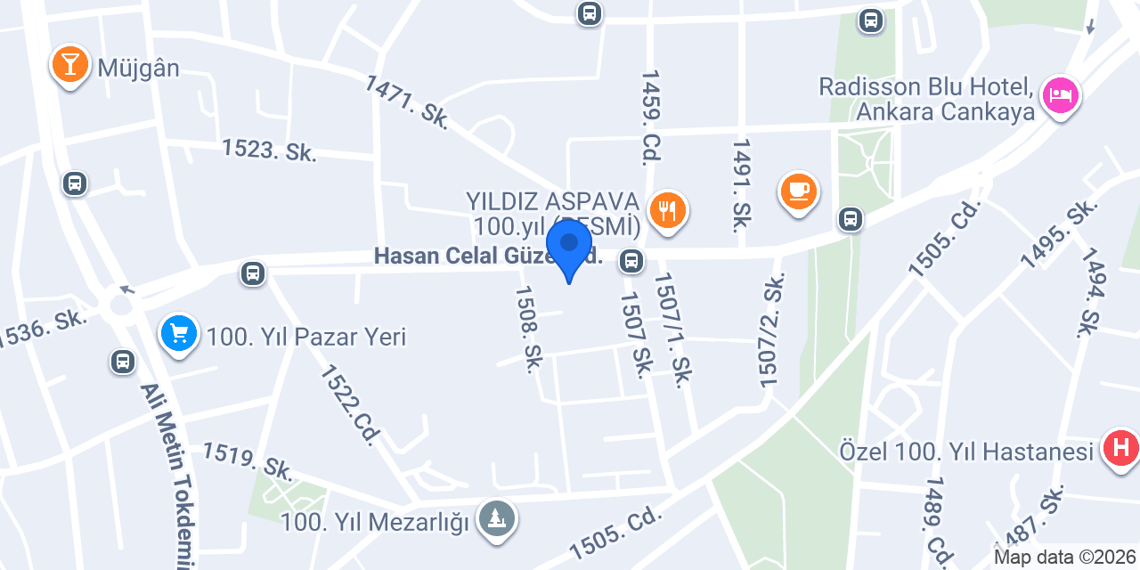 Domino's Pizza Yuzuncu Yıl konumu