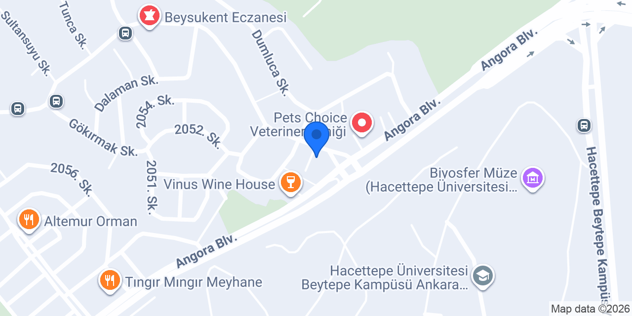EVCİ KEDİ konumu