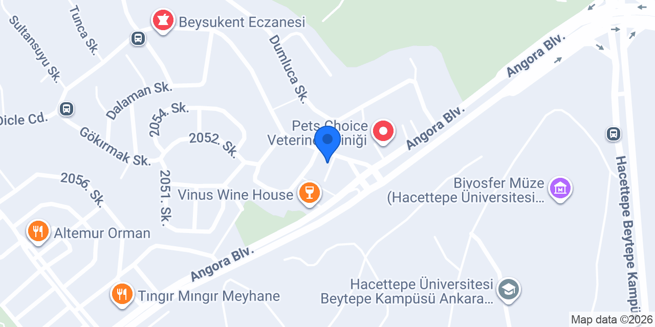 BİLGE GROUP konumu
