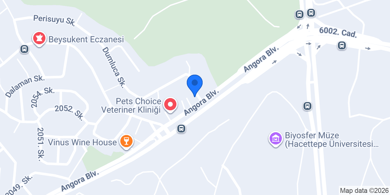 Ağız Diş ve Çene Cerrahisi konumu
