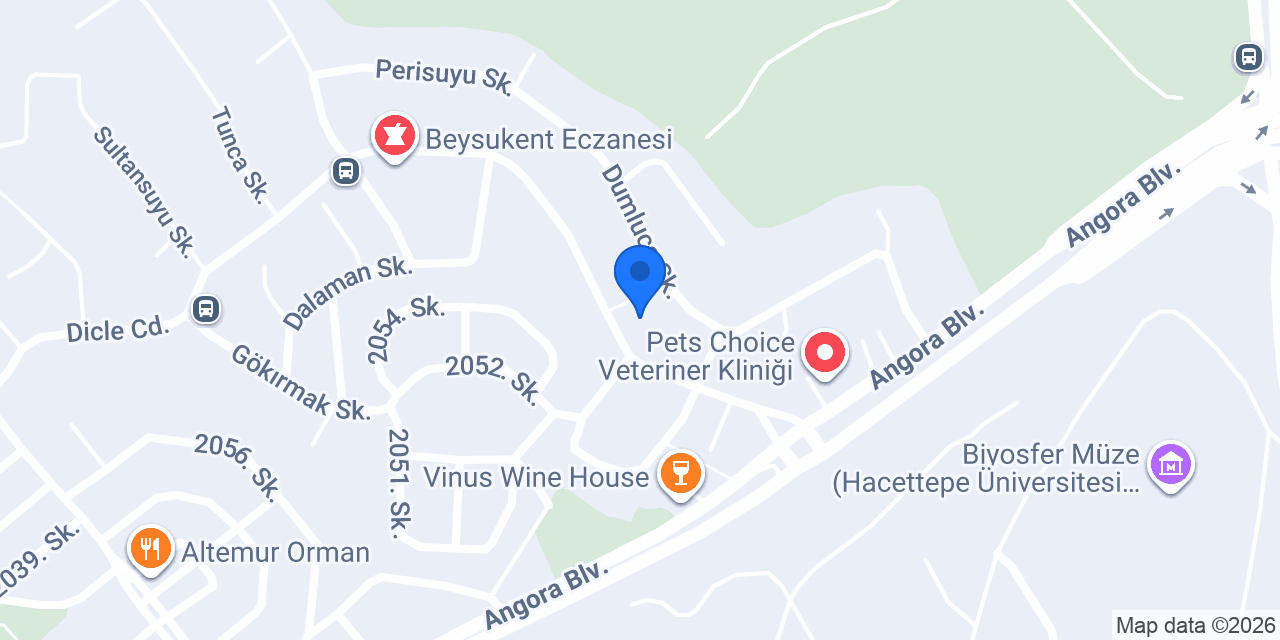 Medihest Ankara konumu