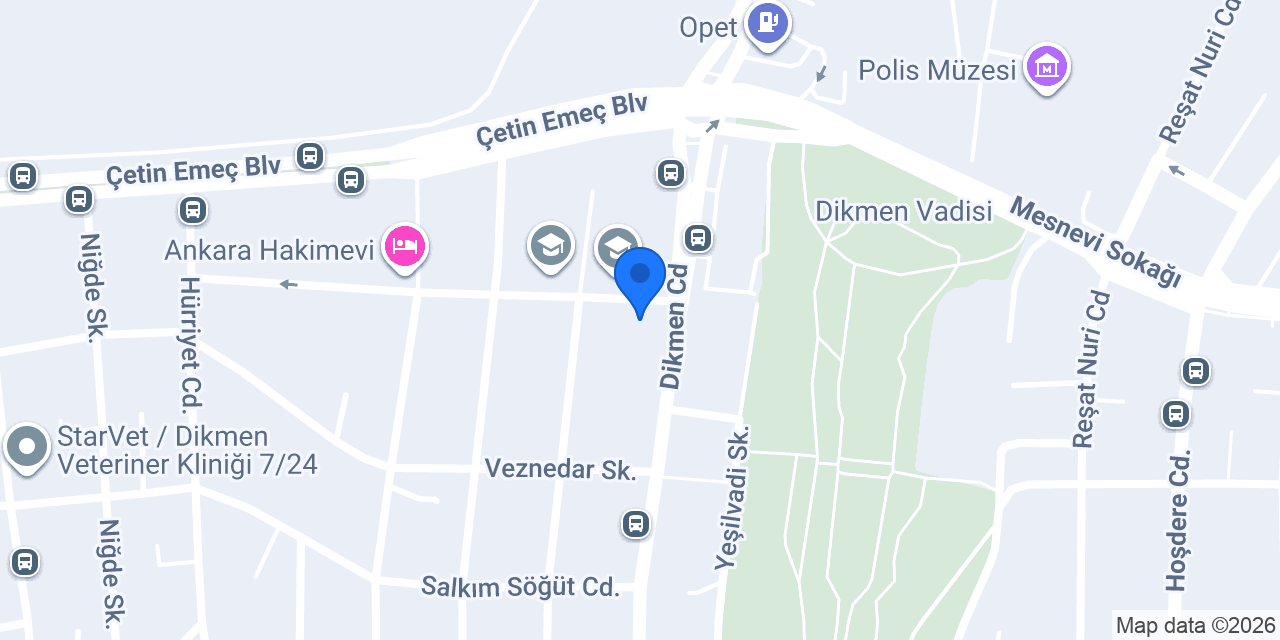 Autowax Dikmen konumu