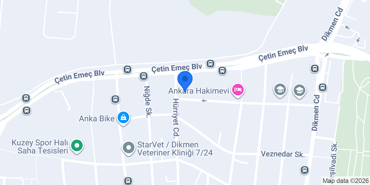 Türk Telekom konumu