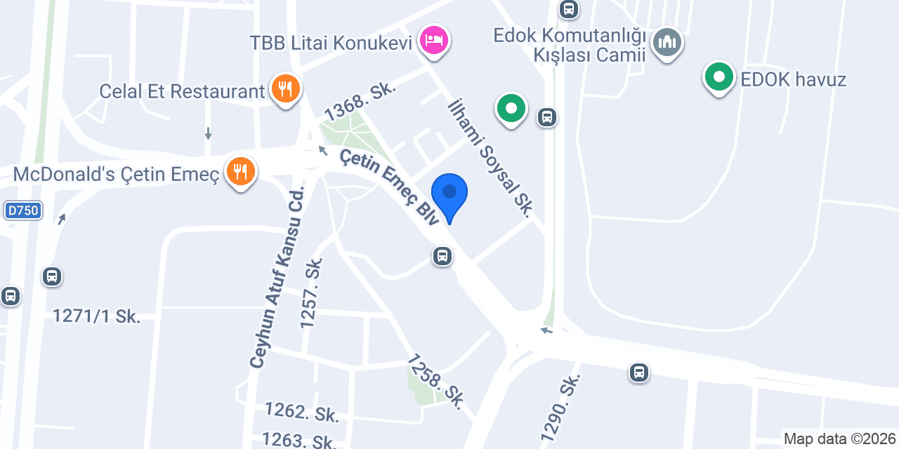 Ansa grup pimapen konumu