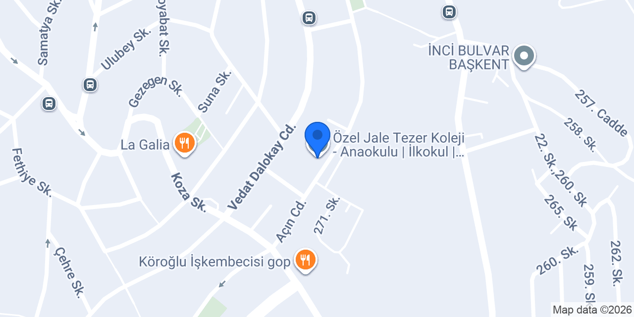 Özel Jale Tezer Fen Lisesi konumu
