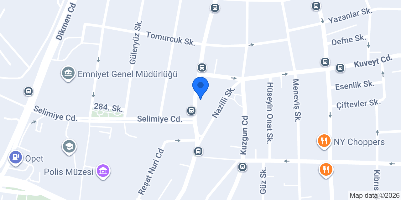 BADEM PETSHOP konumu