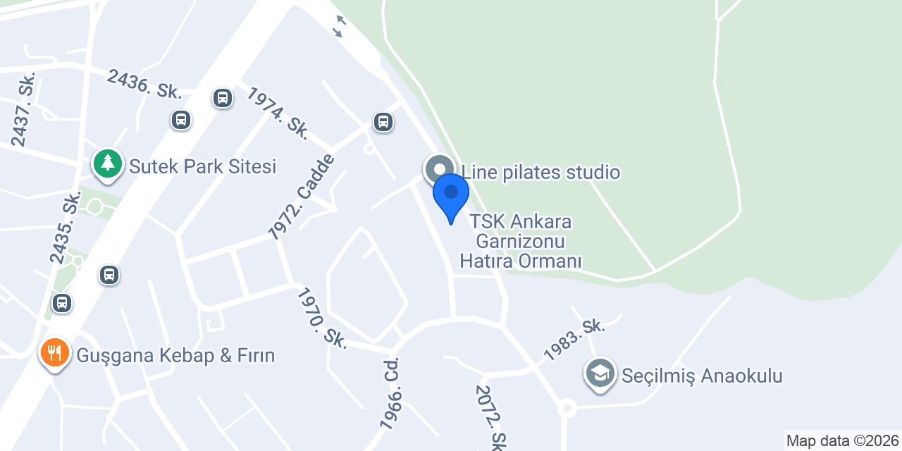 Meridyen Denetim konumu