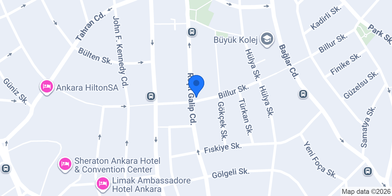 Nenehatun Eczanesi konumu