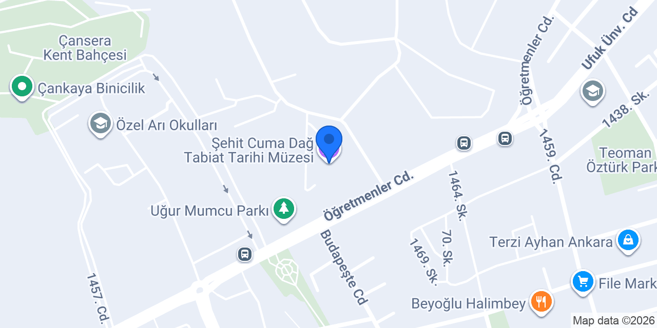 Şehit Cuma Dağ Tabiat Tarihi Müzesi konumu