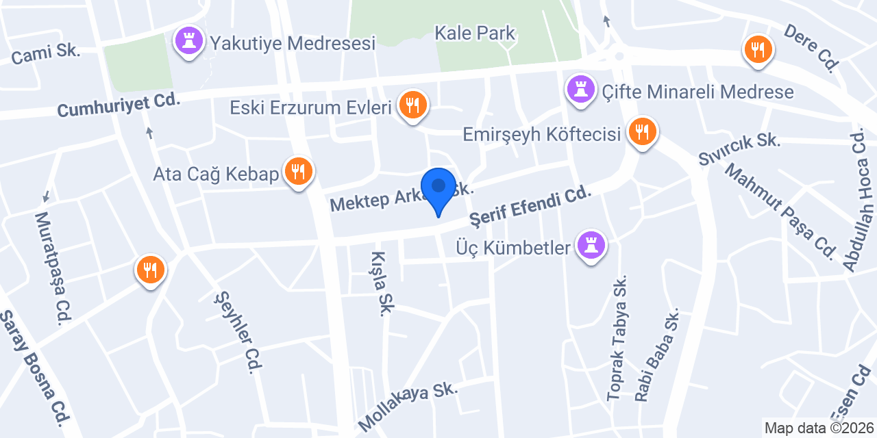 Erzurum konumu