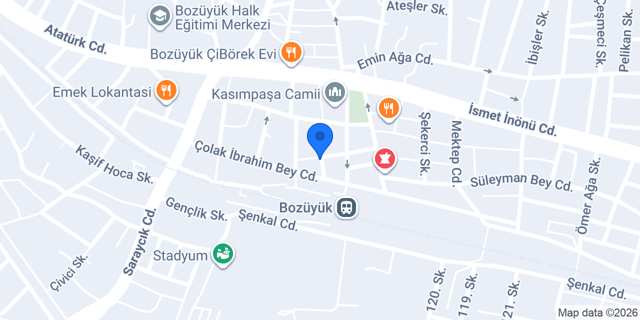 Ressam hasan üstün konumu