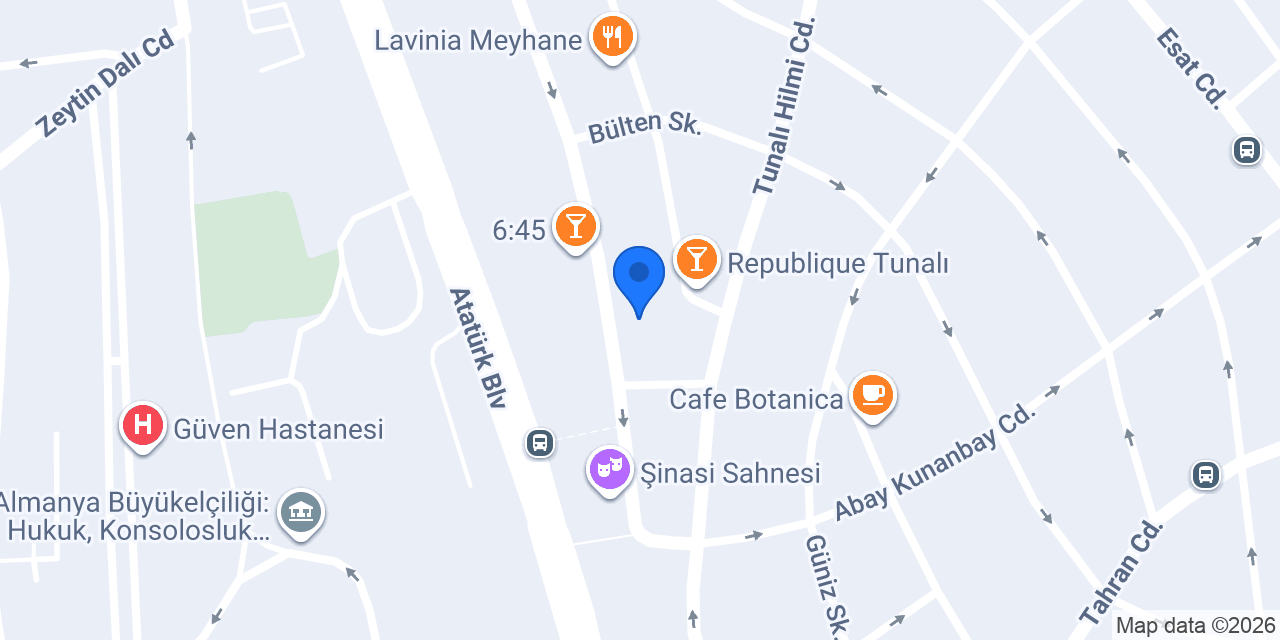 Vfs Global Hollanda konumu