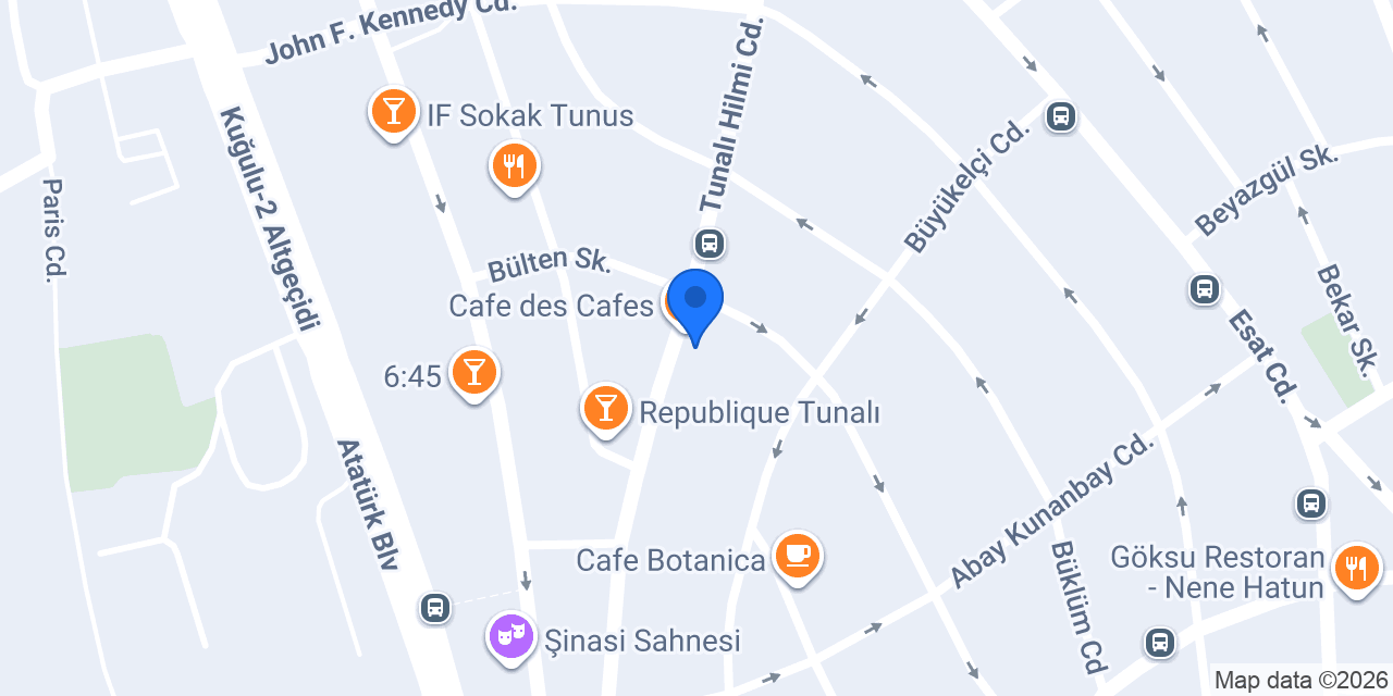 Plus Global Danışmanlık konumu