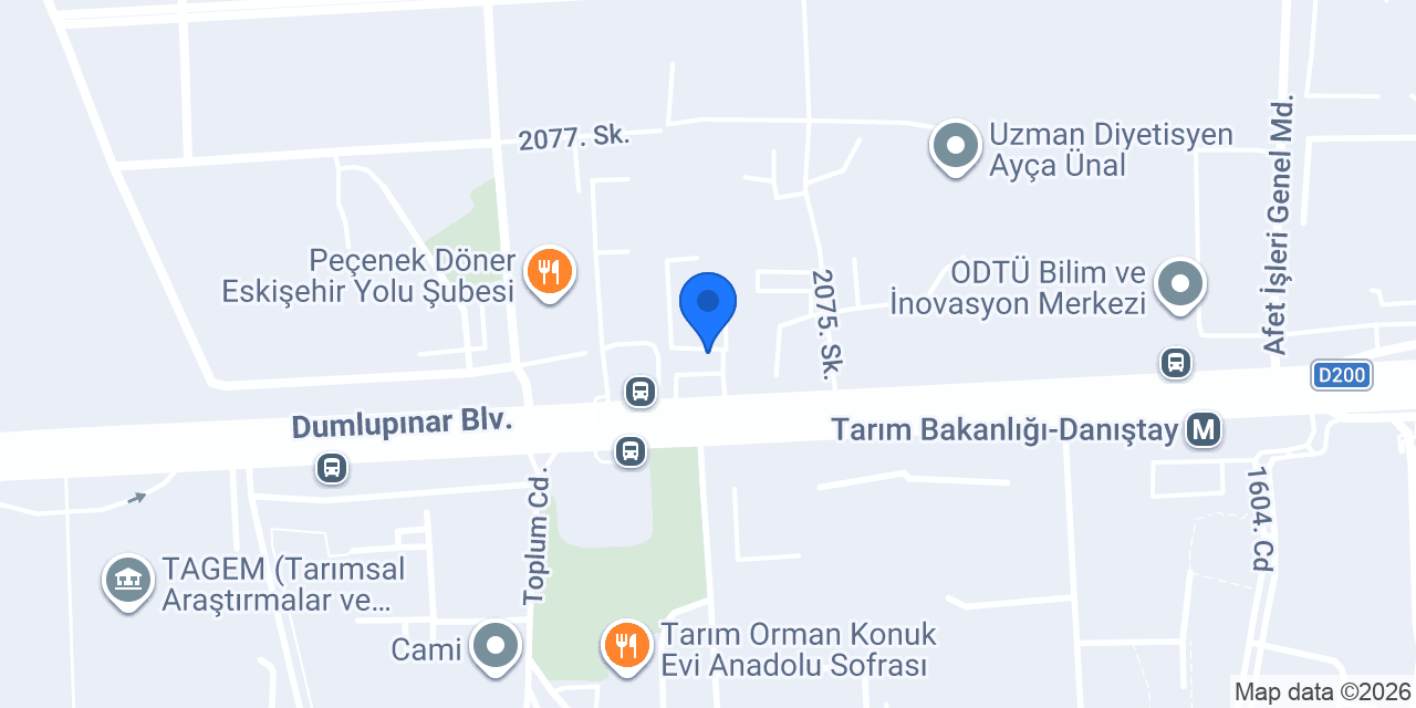BYD Efe konumu