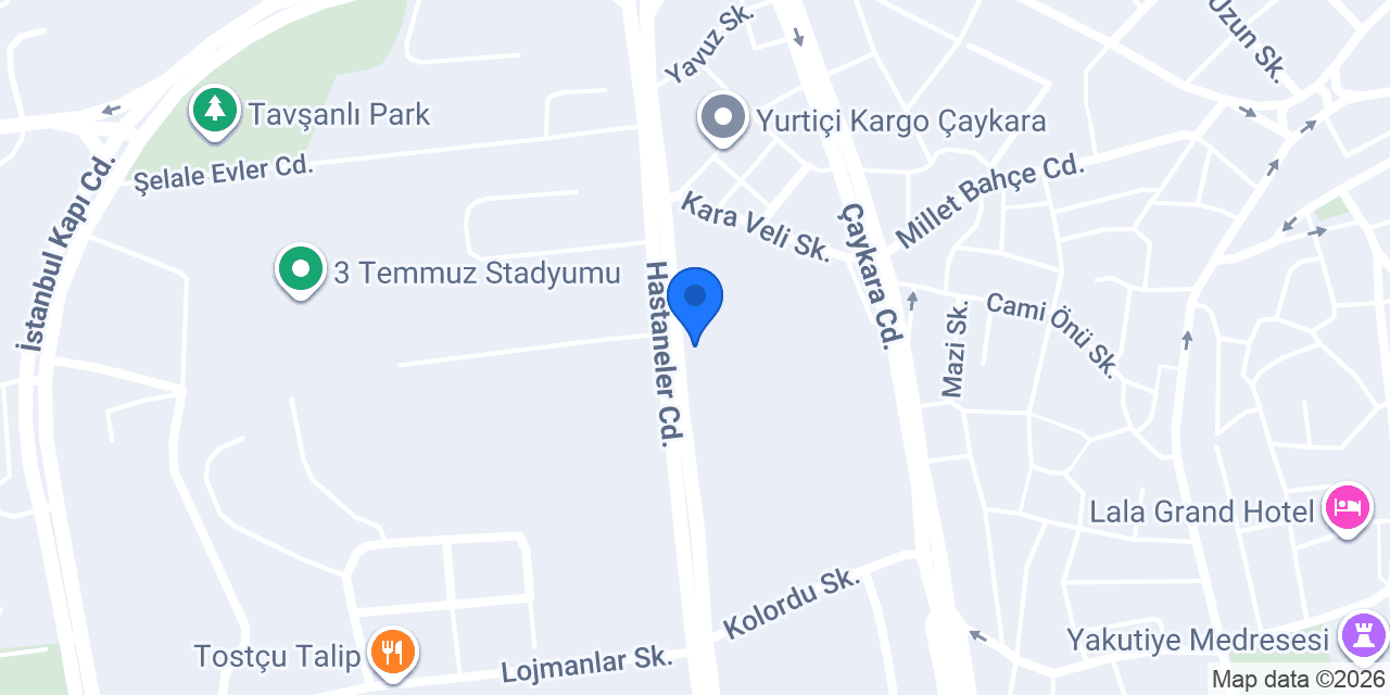 Salaş Tost konumu