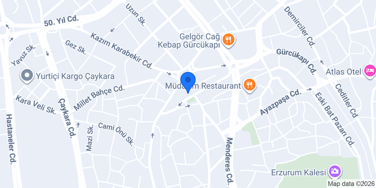 Onr Elektrik konumu